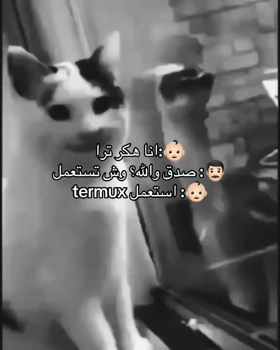 @Ryo💻 🇸🇦