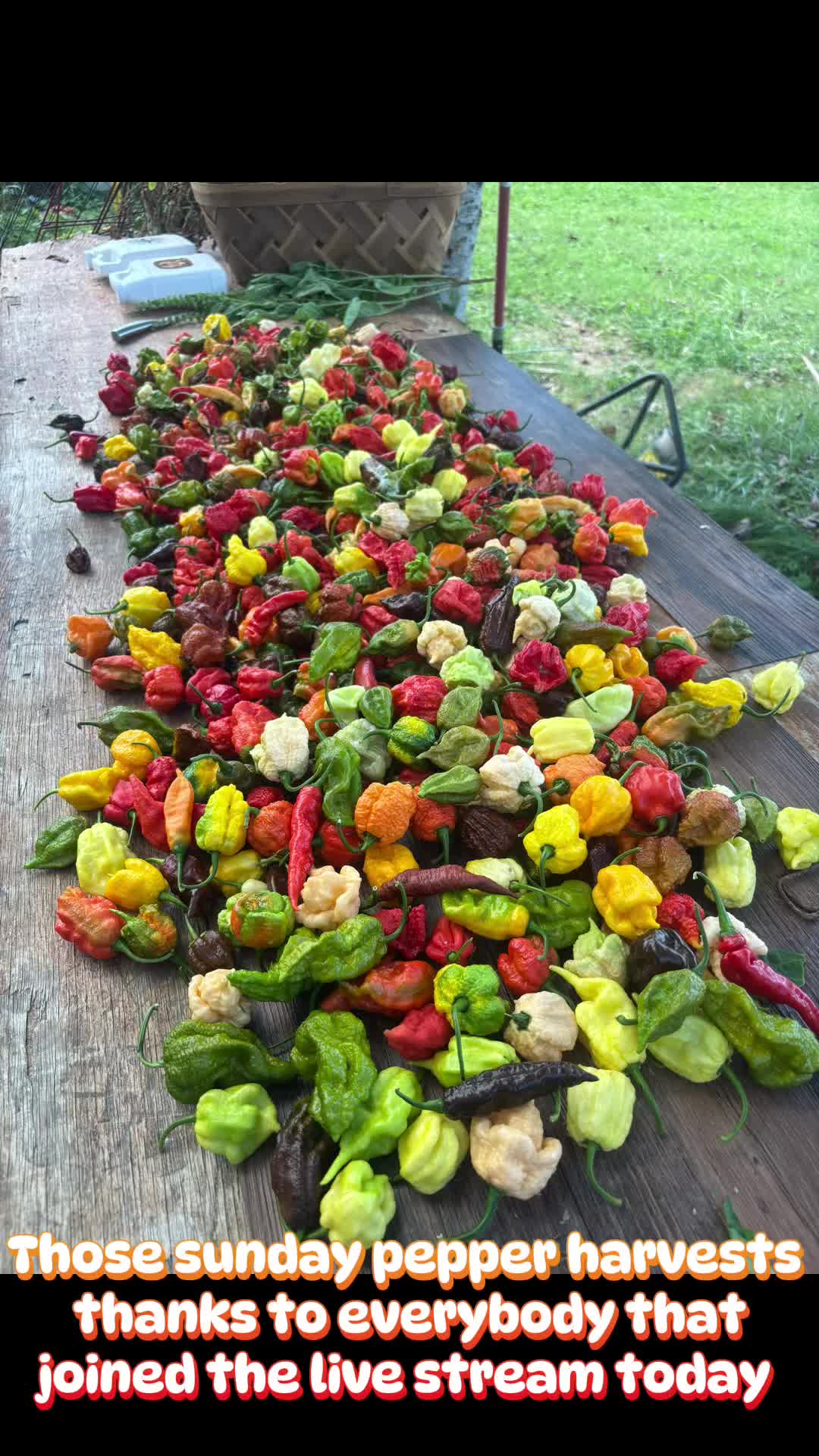 @Jdeaththepepperguy 🌶️AGX🌶️🌱