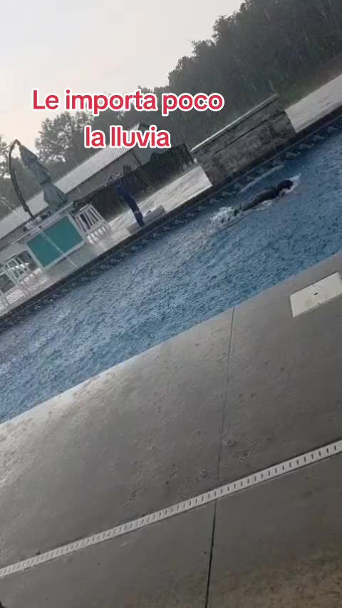 @๐A L L Y S O N - ๐๐