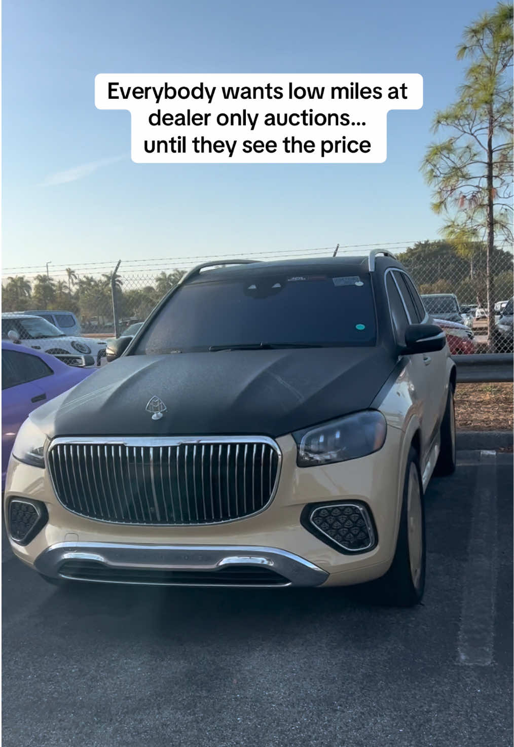 @Mr Mac Auction Plug/Car Dealer