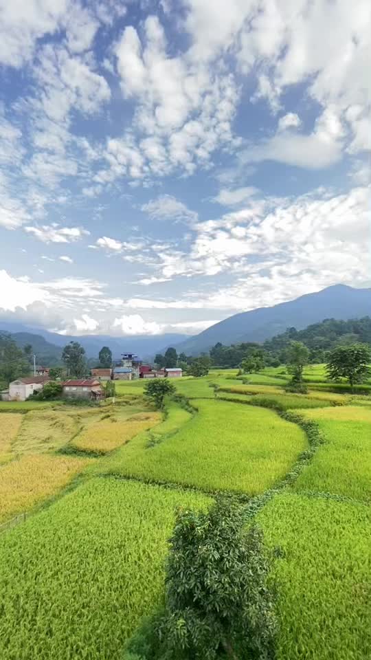 @Kamala Gurung