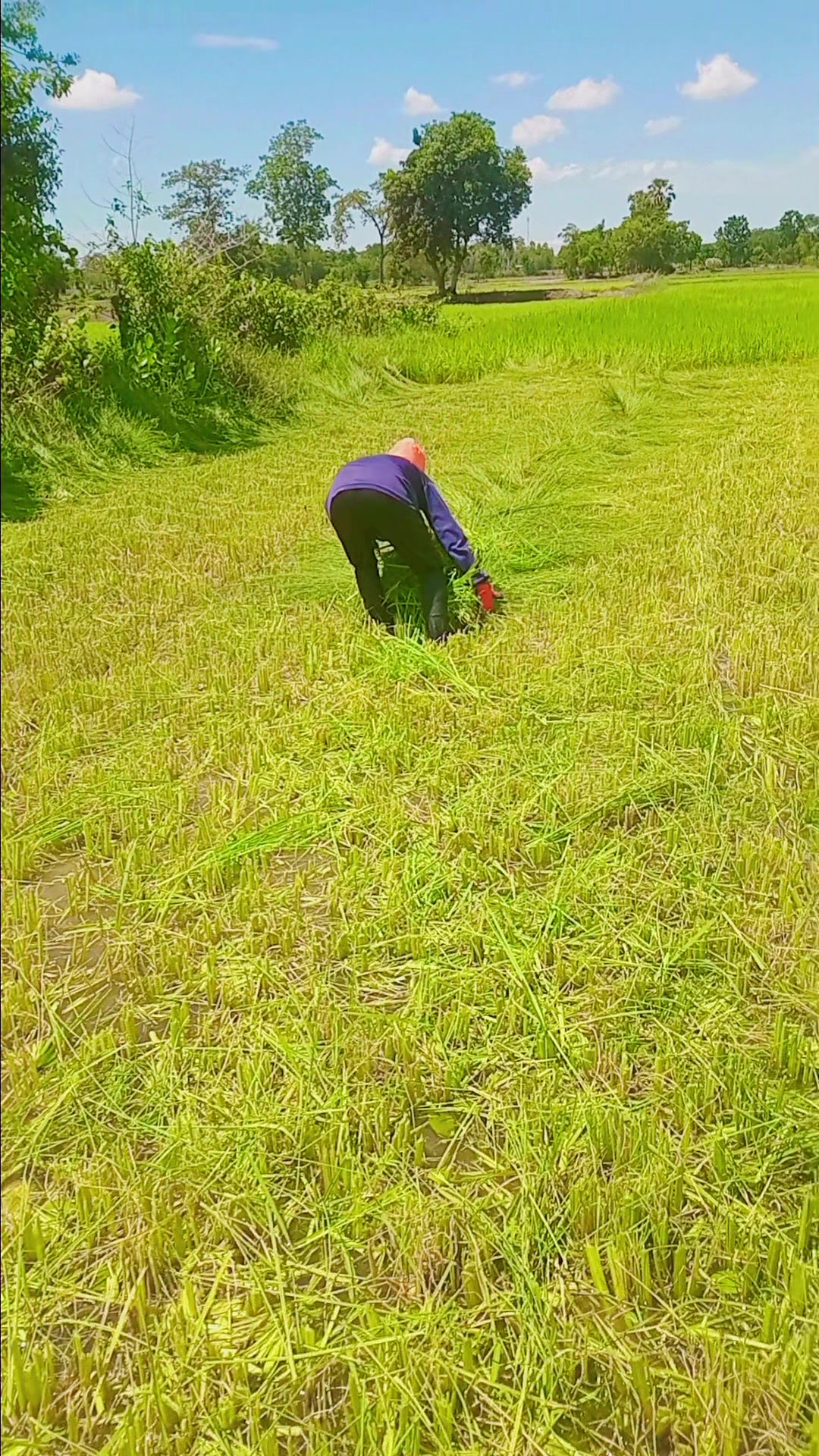 @จอย & 🍃นุการณ์🍃262