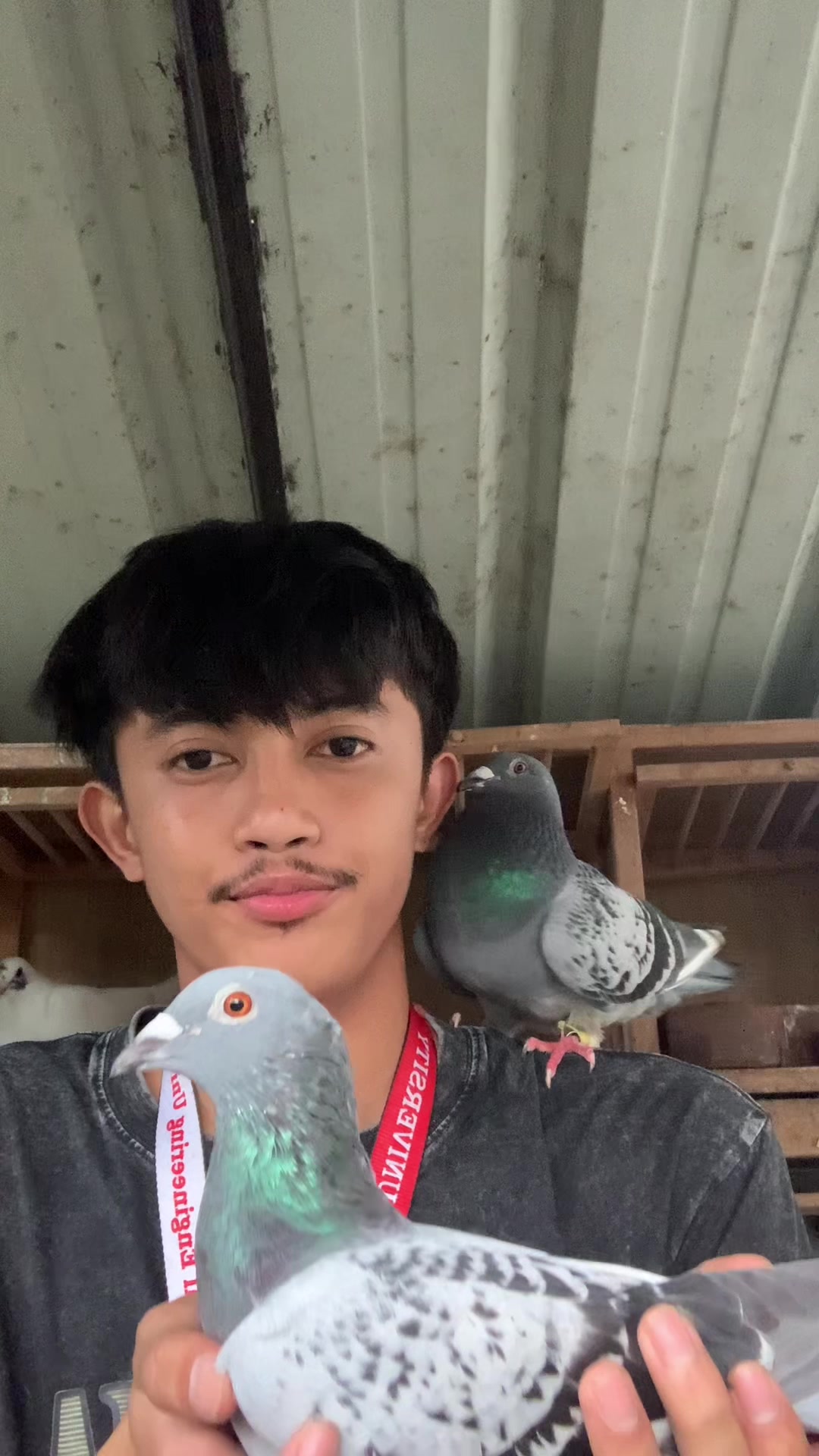@PAOLOFT TV