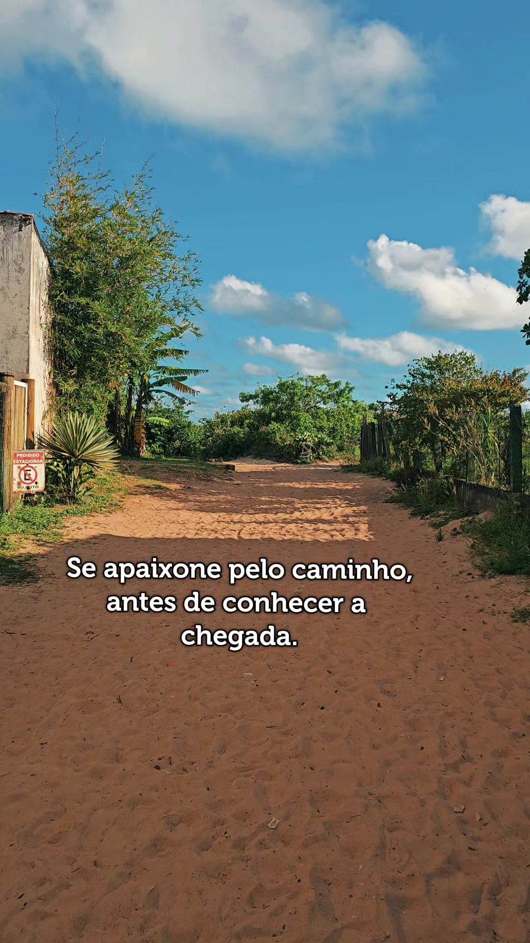 @coroadosebarradosai
