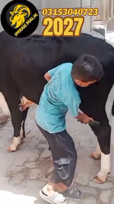 @rihan malik