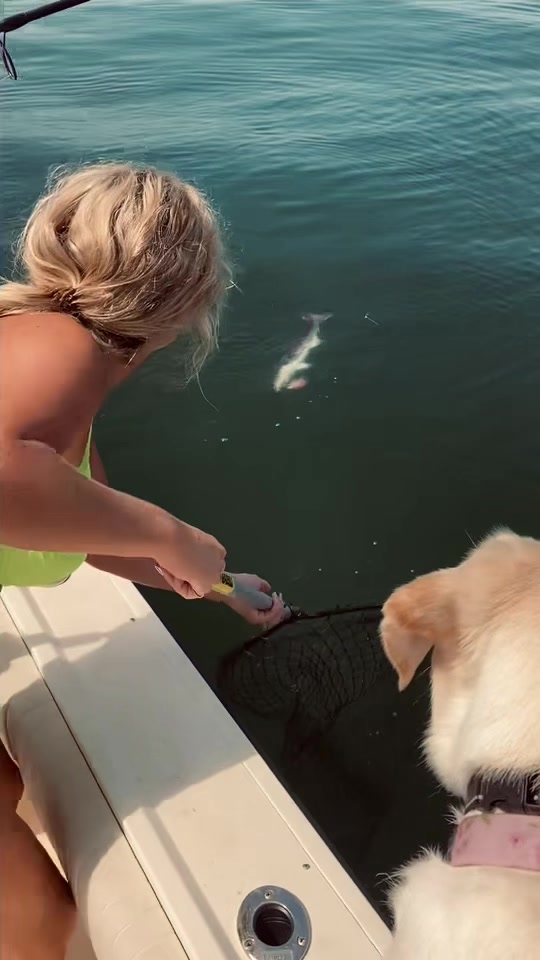 @SomeWhereOutdoors