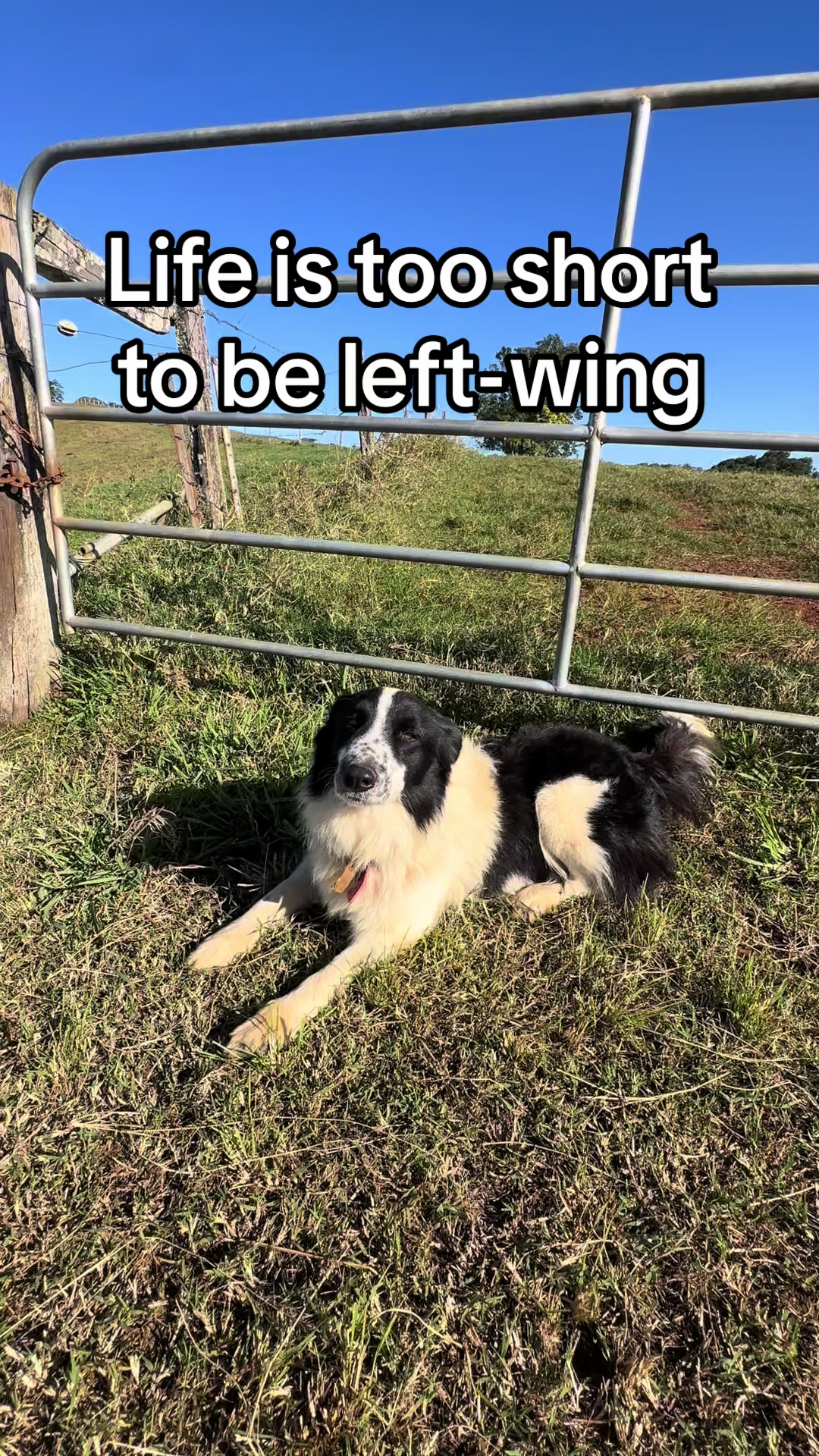 @🇦🇺AngloAussie🇬🇧