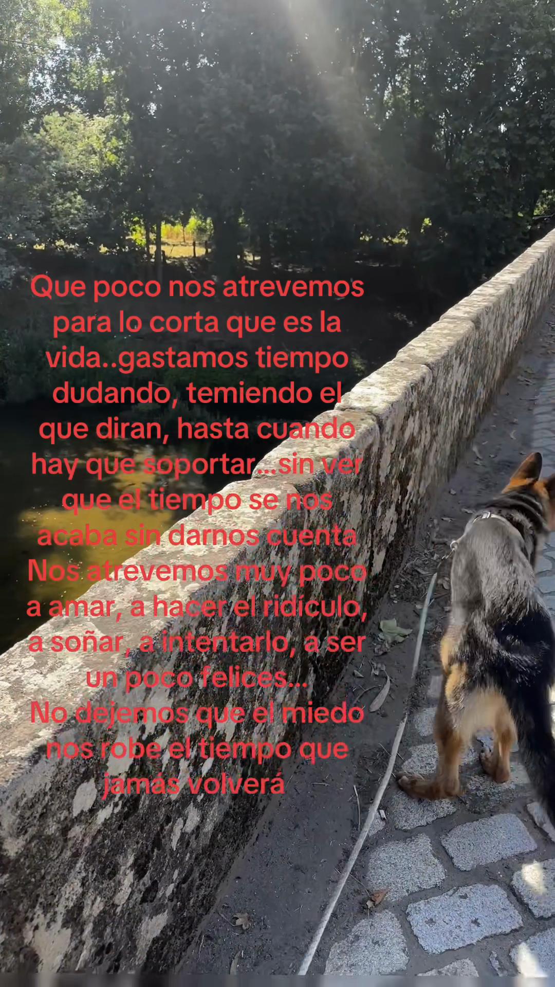 @Moni_port