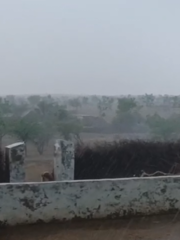 @باغی سمیجا حق سردار