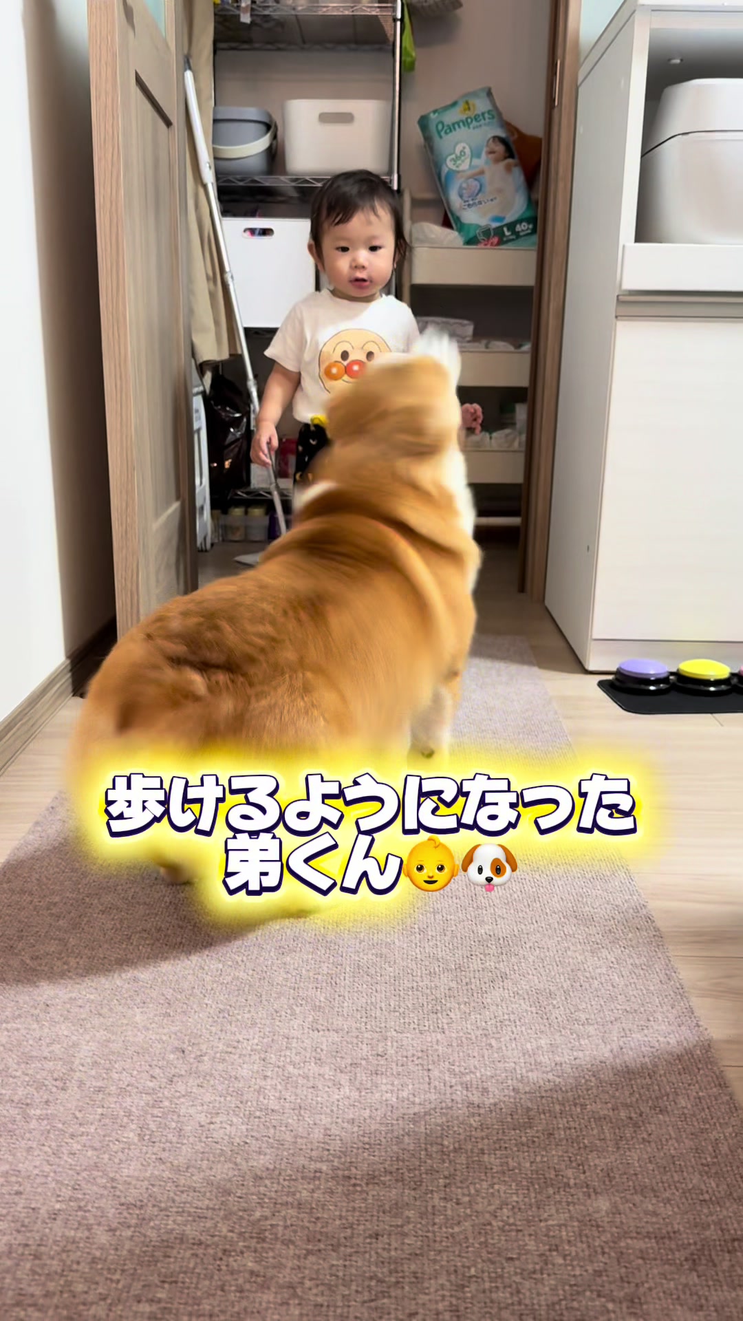 @トロン