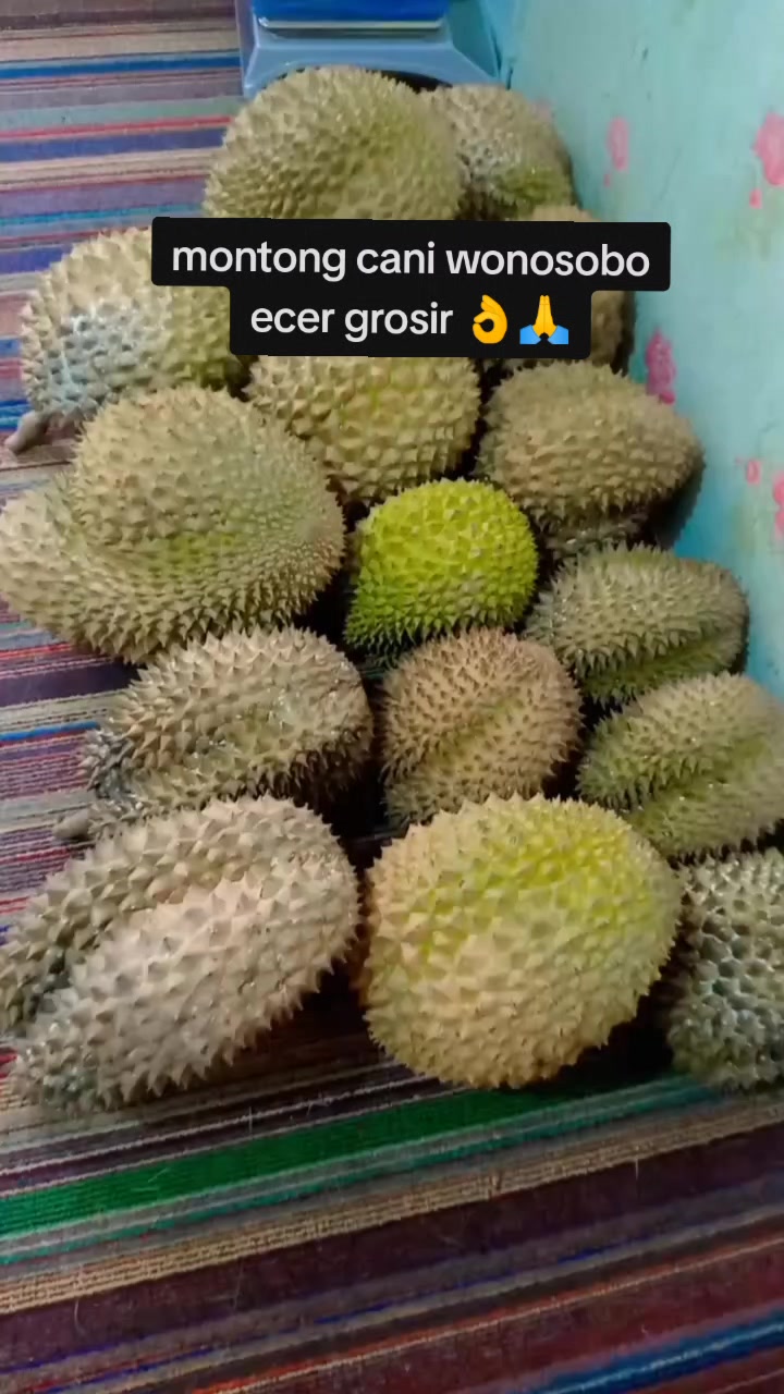 @pono duriaan wsb 🇲🇨🆗🔄🔂☎️