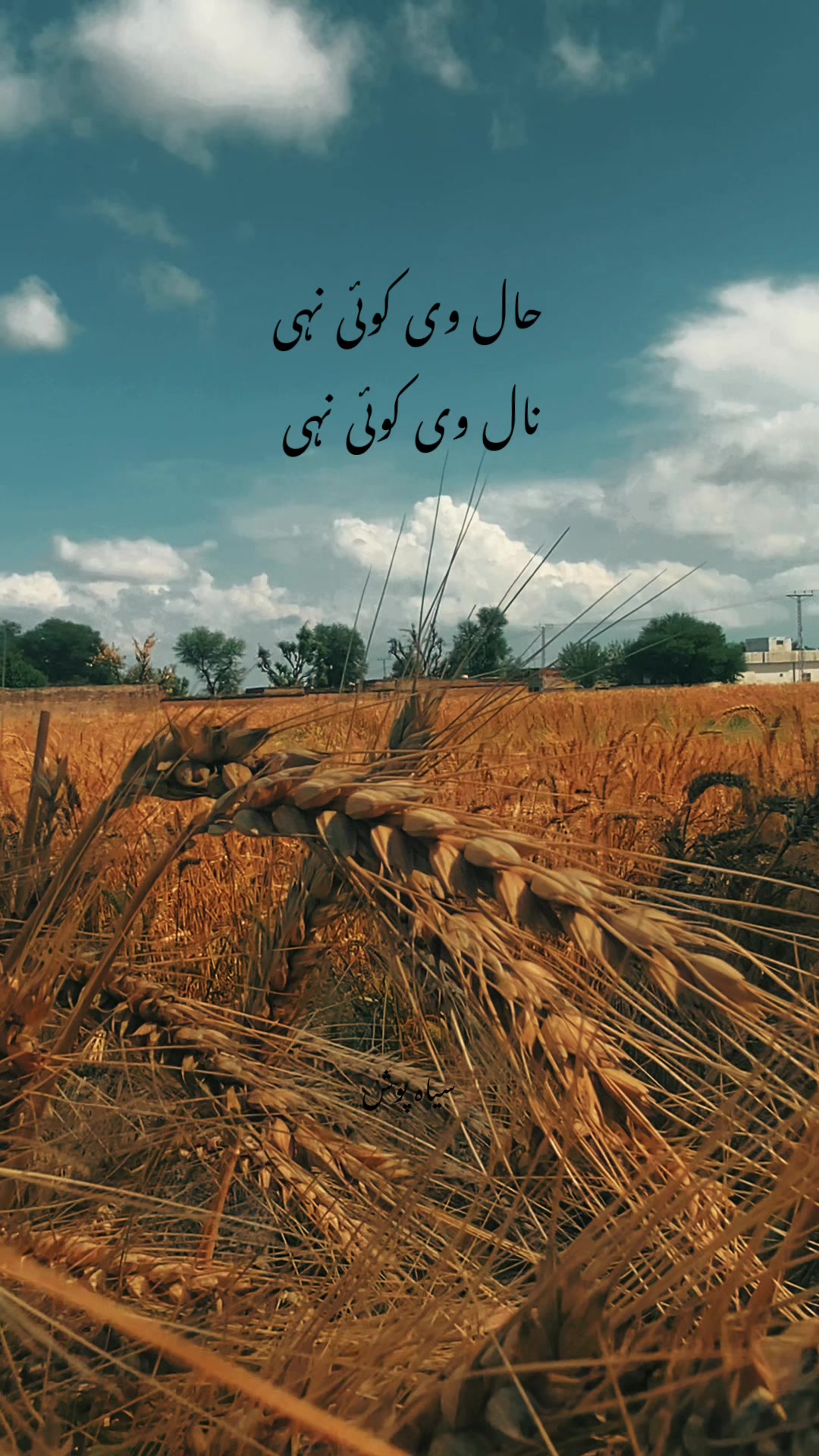 @سیاہ پوش🖤