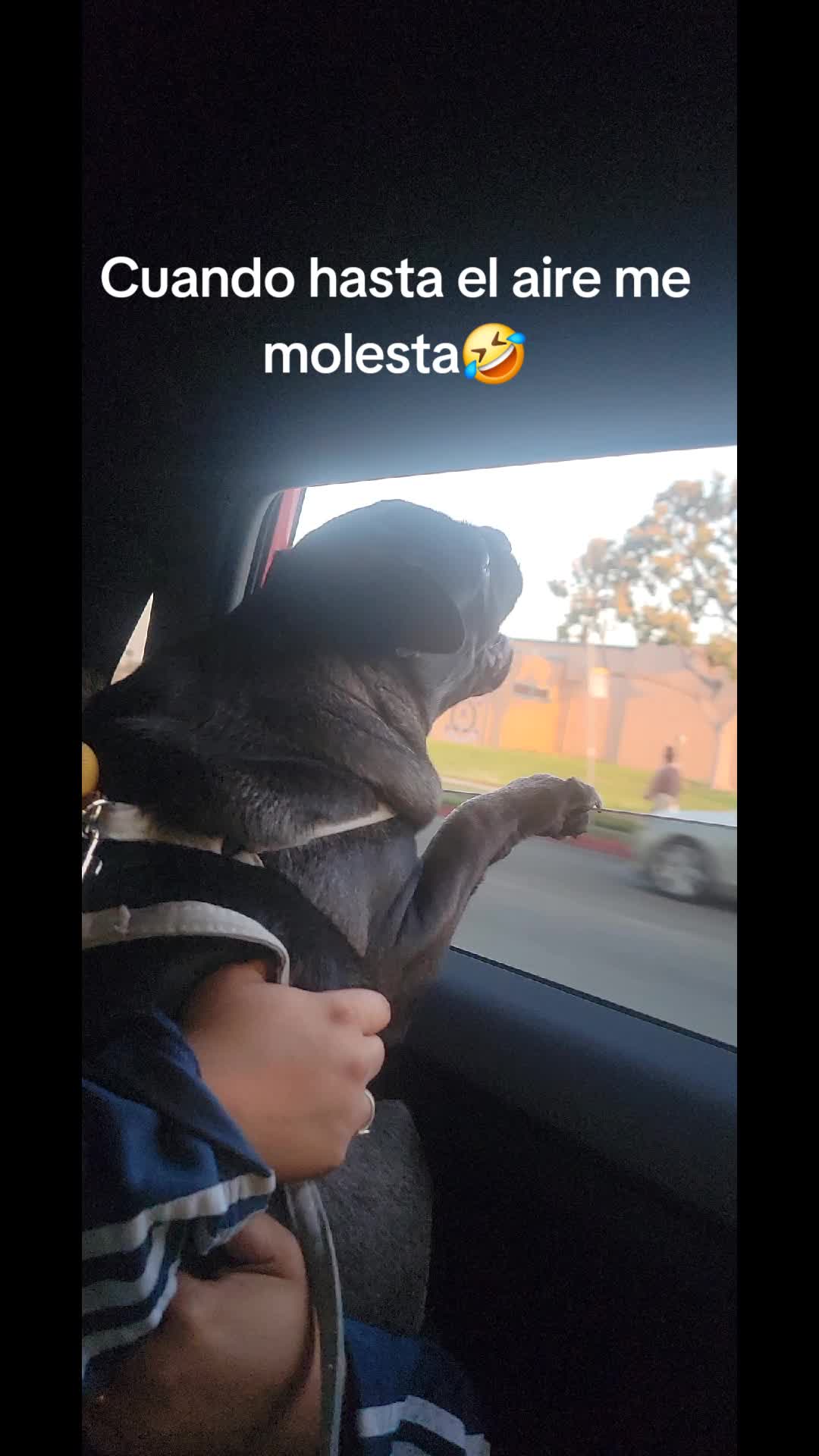 @Claribella 🦋🦋