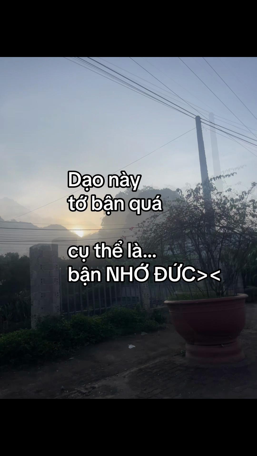 @Phe yêu Đức💗💗