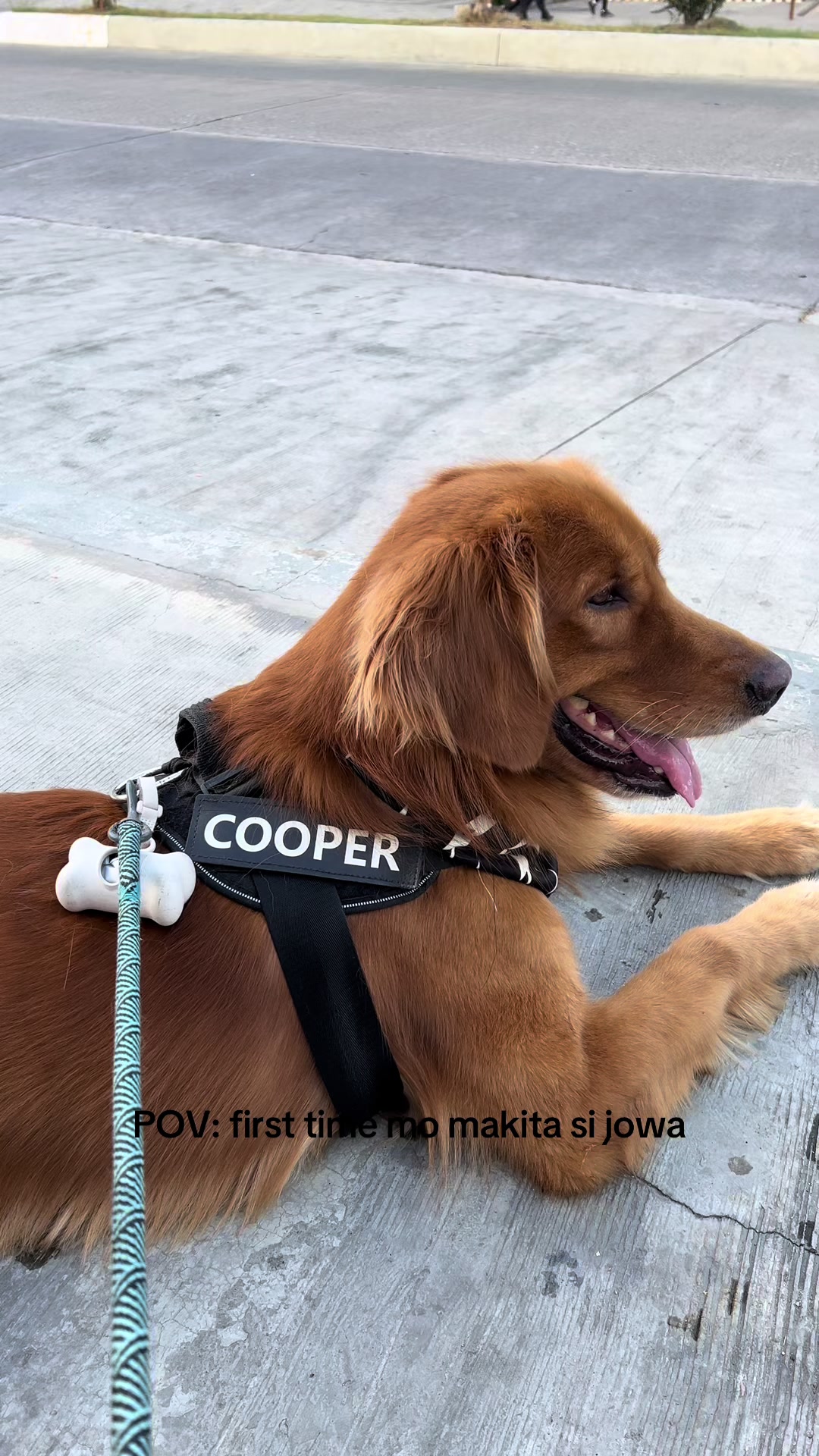 @Cooper&bros 🐾