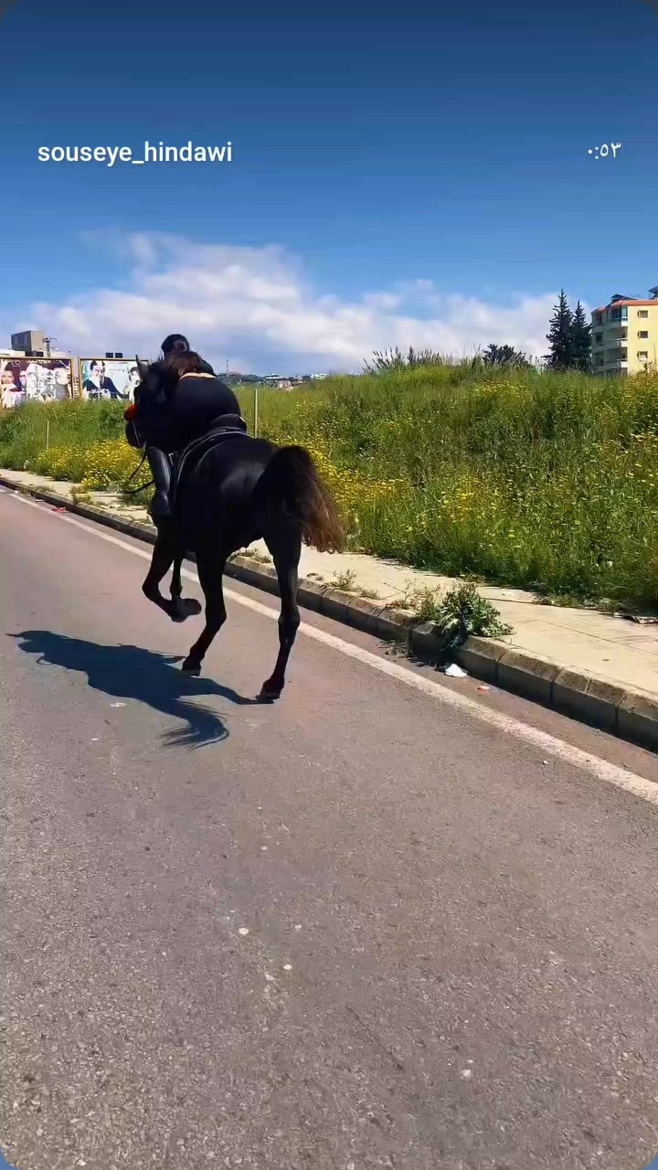 @الهجان