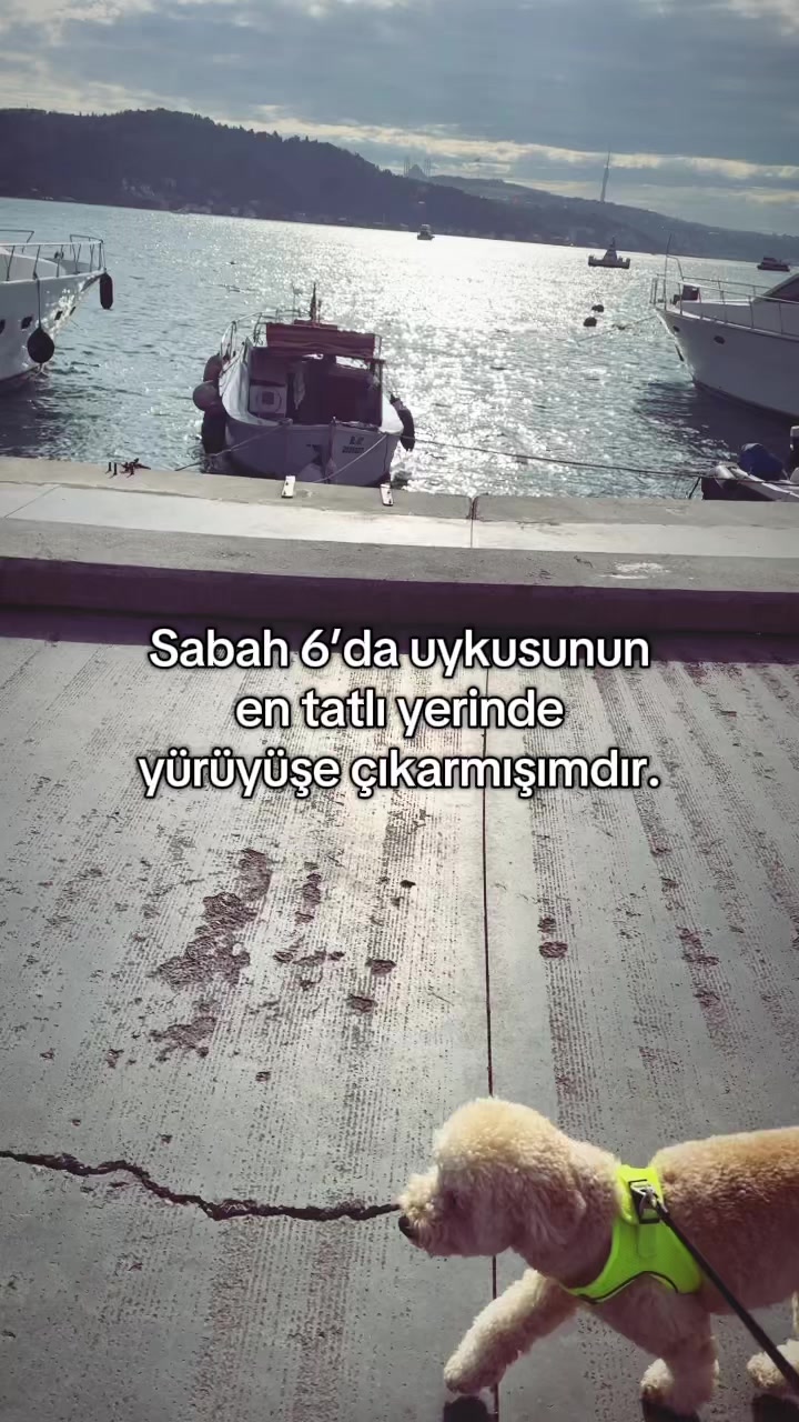 @gizoli88