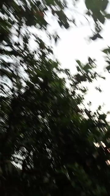 @Nuji Aji