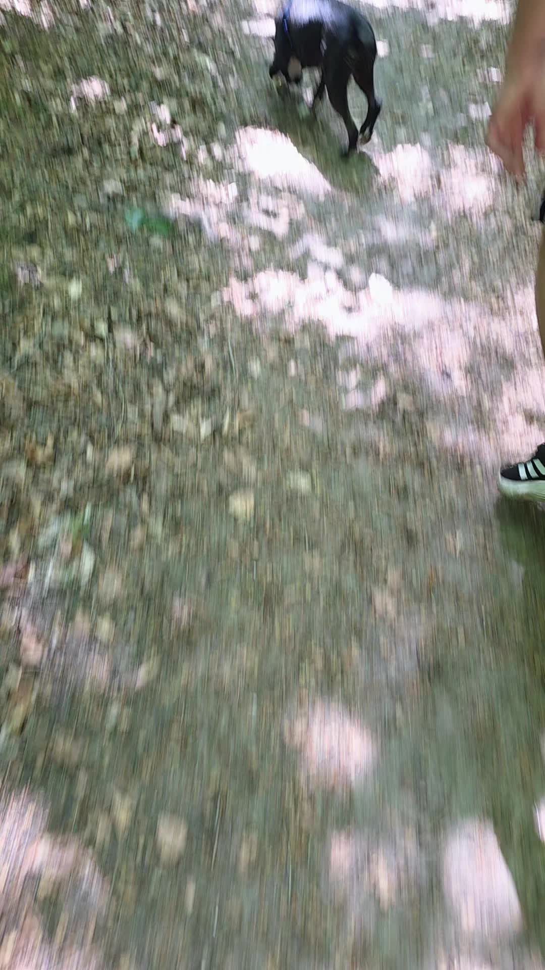 @Erna_🇩🇪