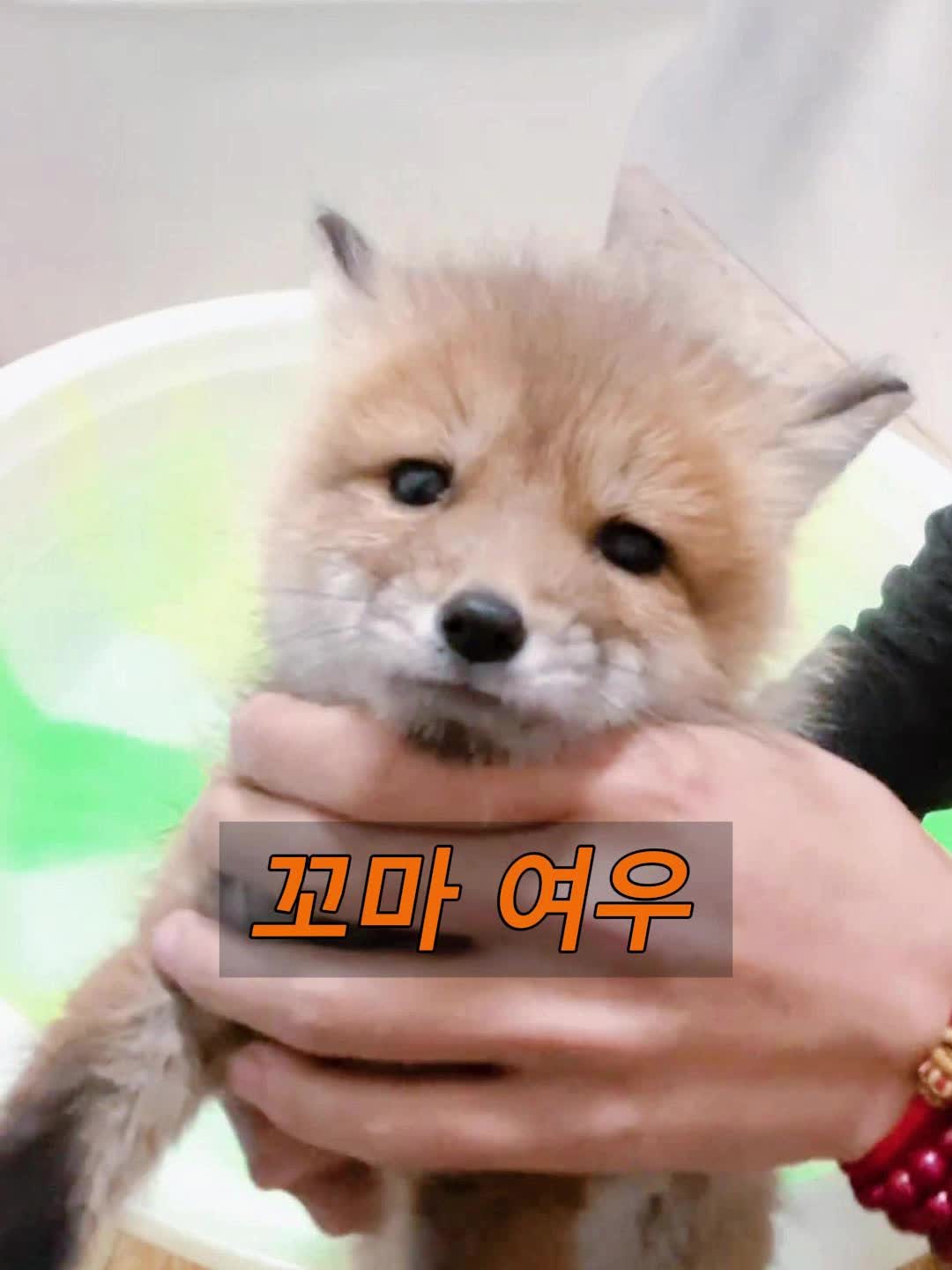 @삼촌Cut2025