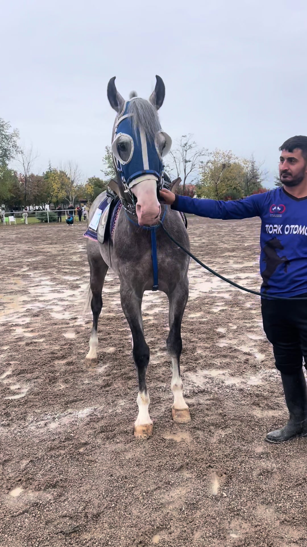 @Güray Çay