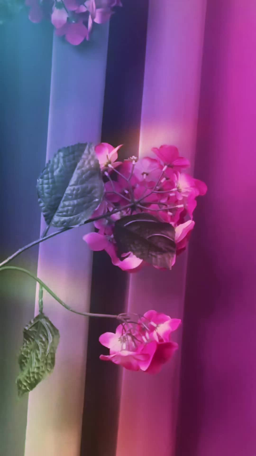 @786ami786