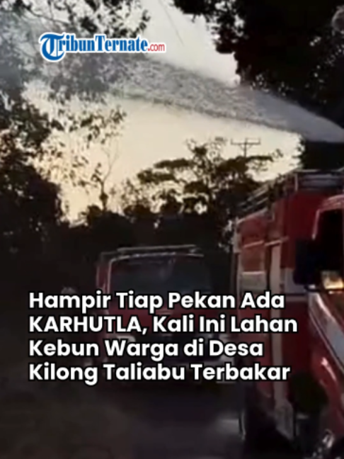 @TribunTernate.com