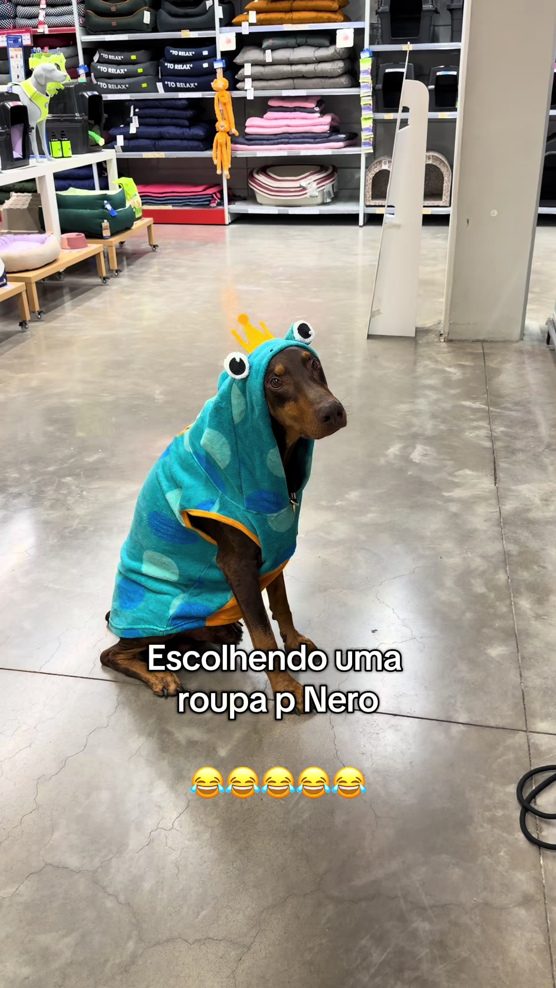 @Gabriel Di Garcia