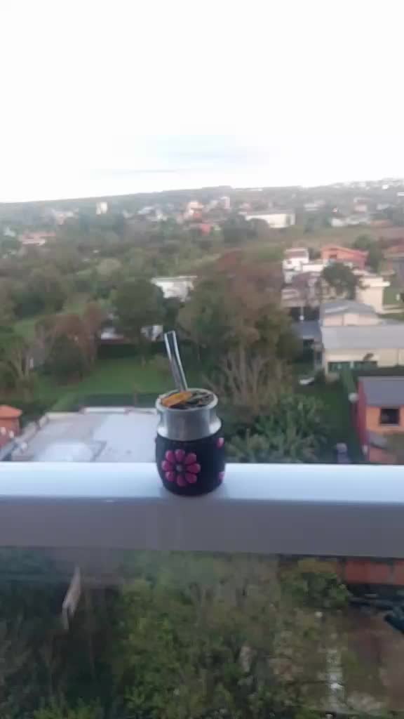 @Mirtapiris