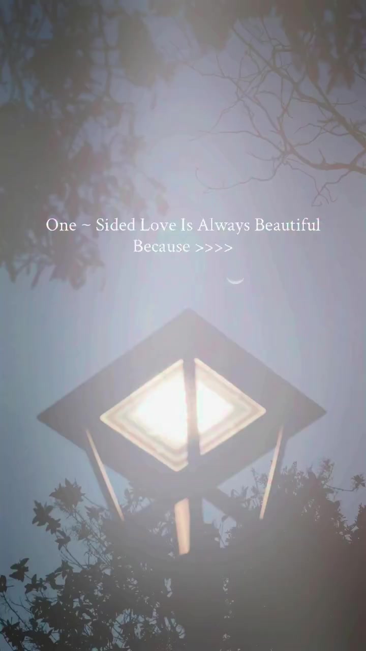 @아즈하르 𓆩♡𓆪