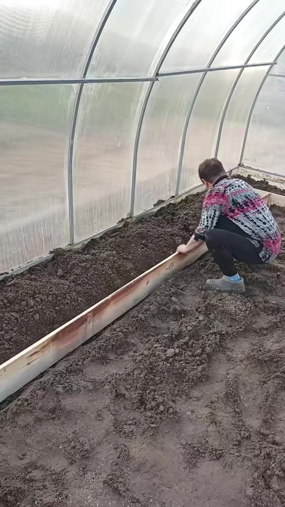 @Марина Краюшкина