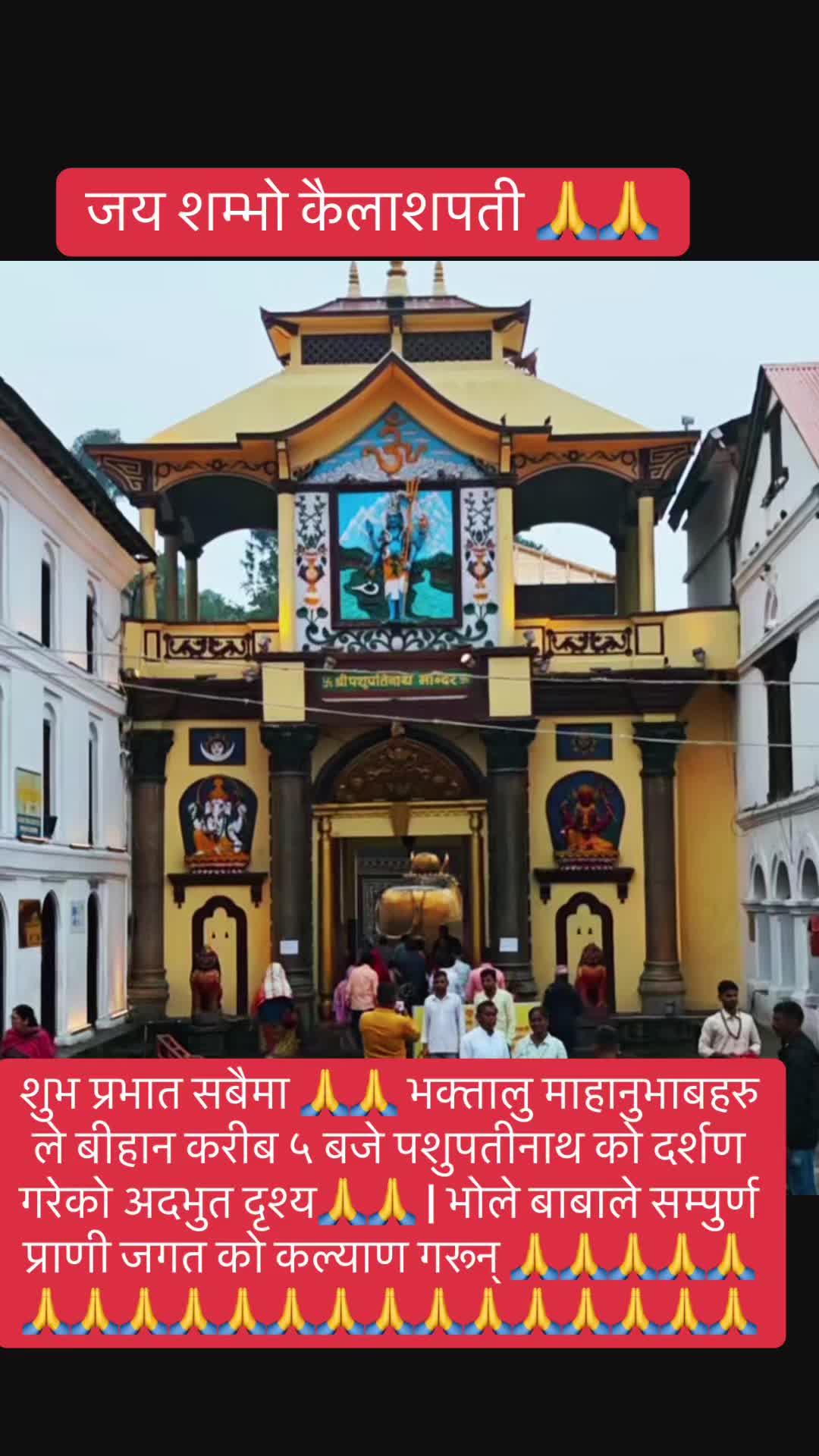 @ताजा खबर 🎤