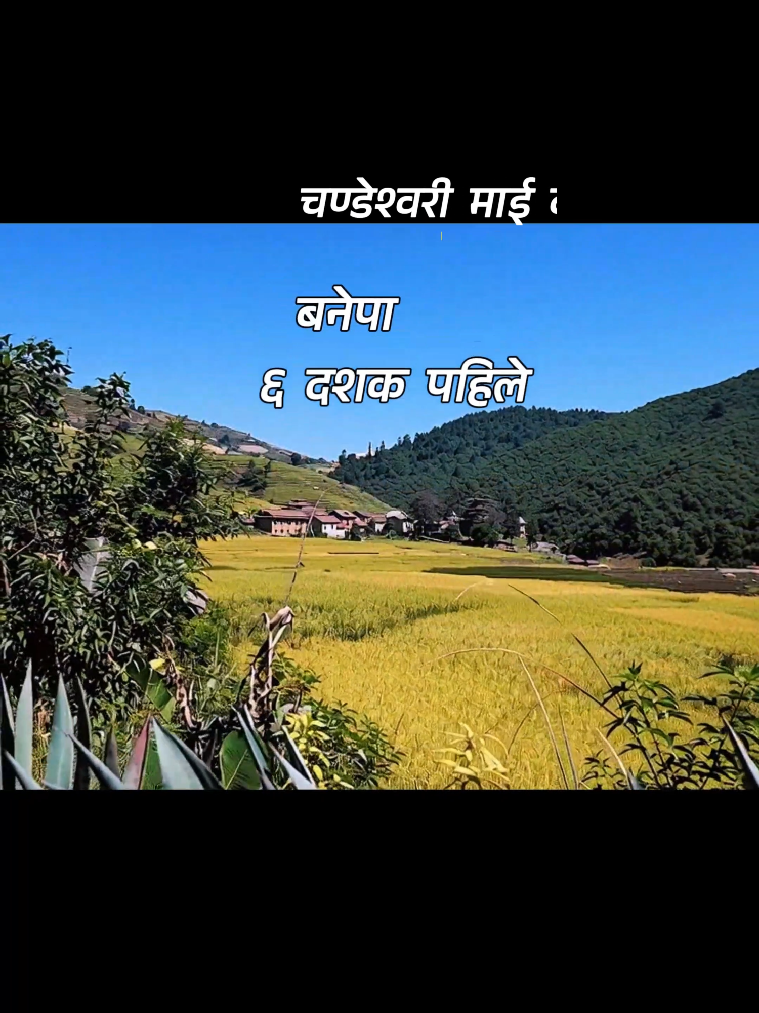 @Zero Views