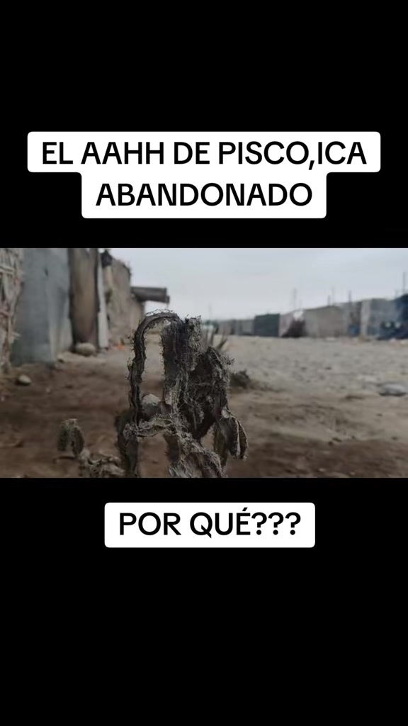 @Christian Bayro Delgado