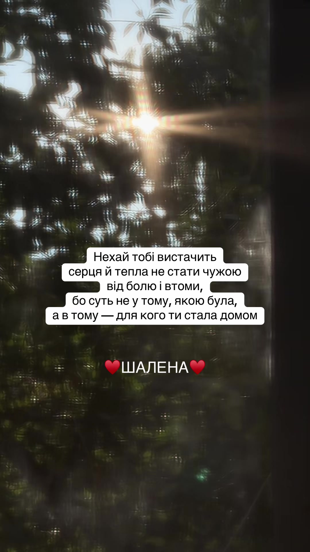 @♥️ШАЛЕНА♥️