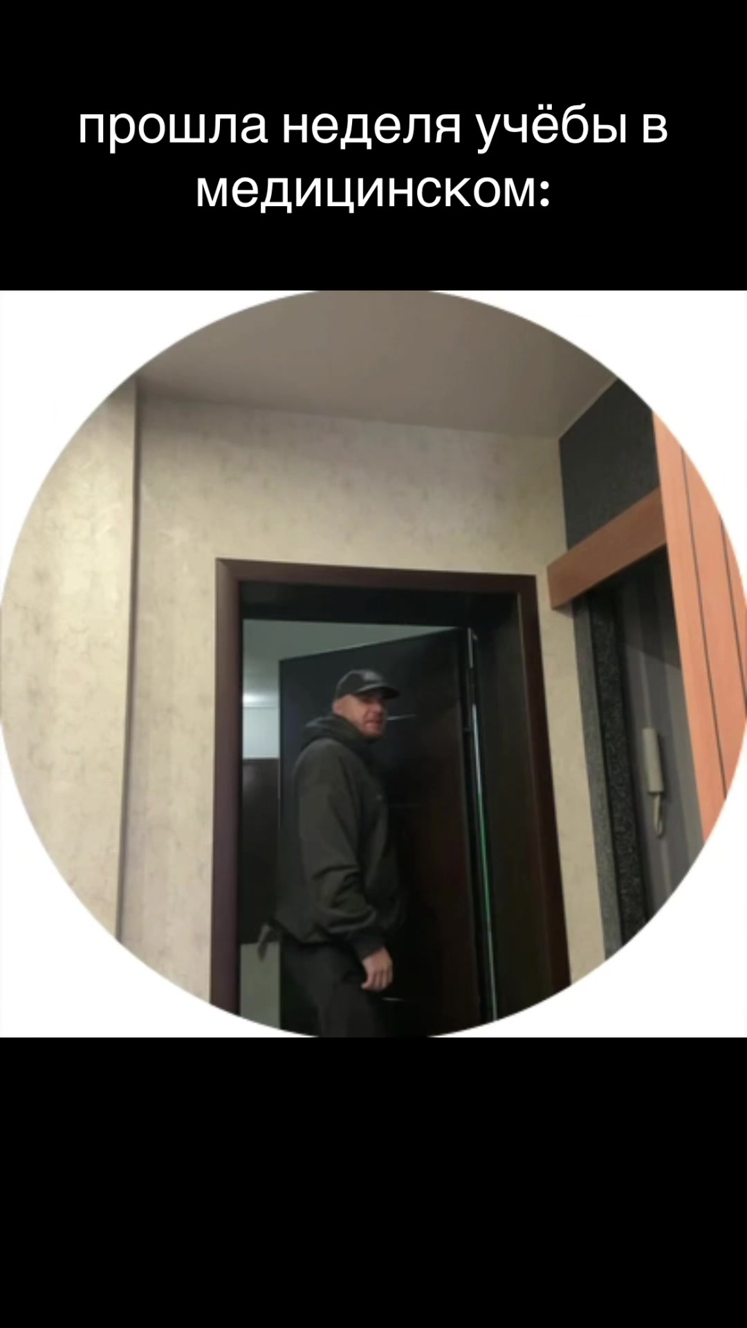 @тг: Записки юного Вовчика