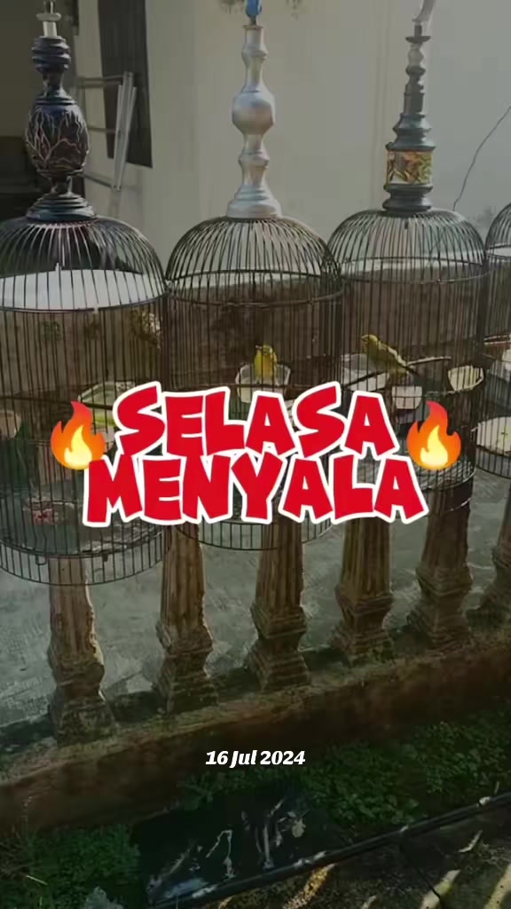 @totalbukpar