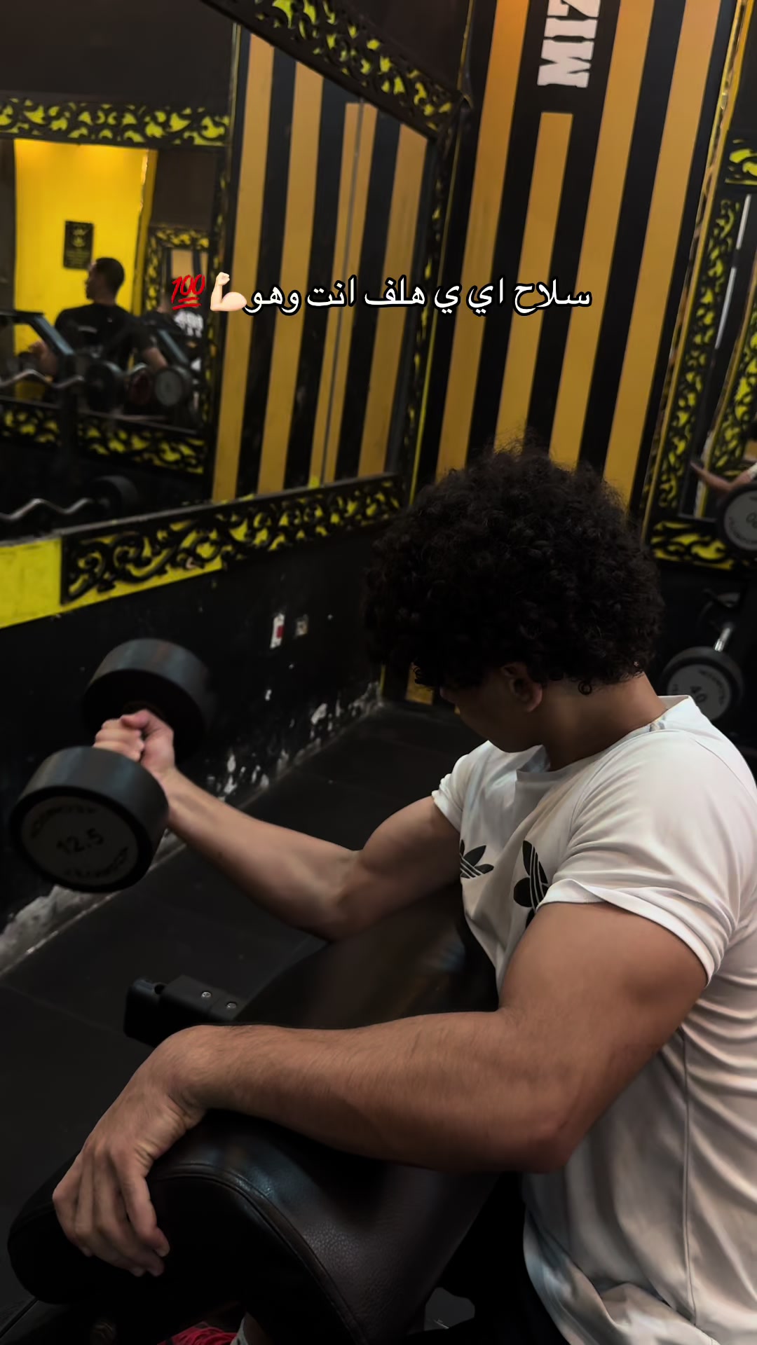 @Sokar🦍🥷