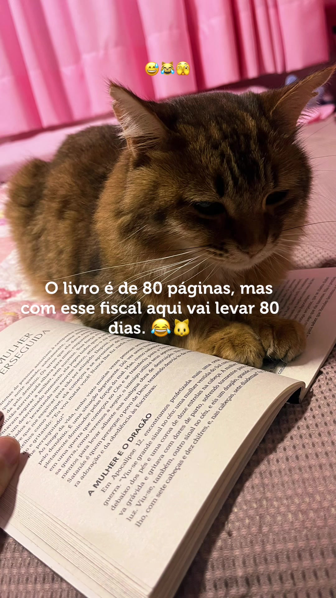 @Marianaeadriele
