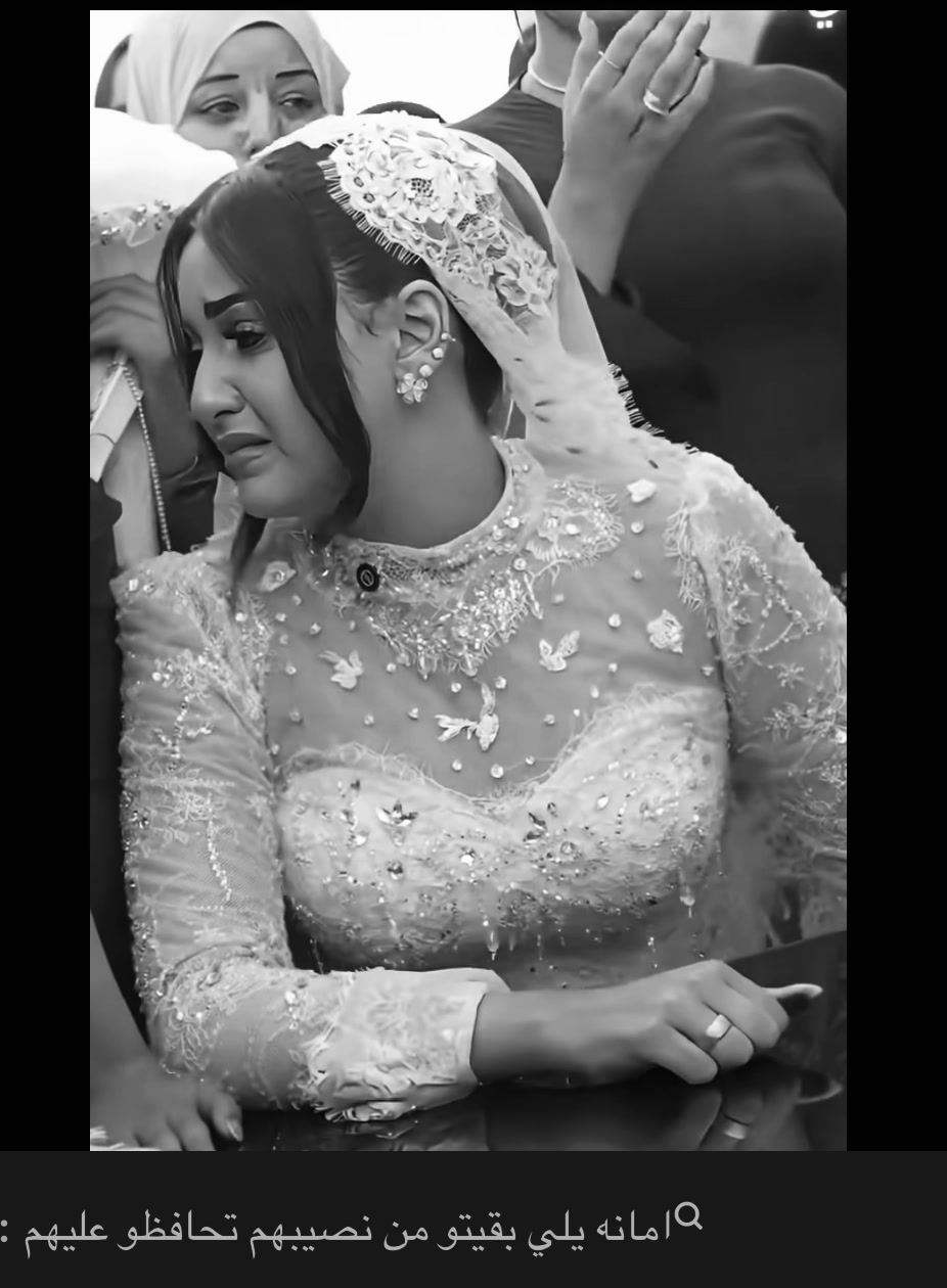 @سيــــــد 🪶