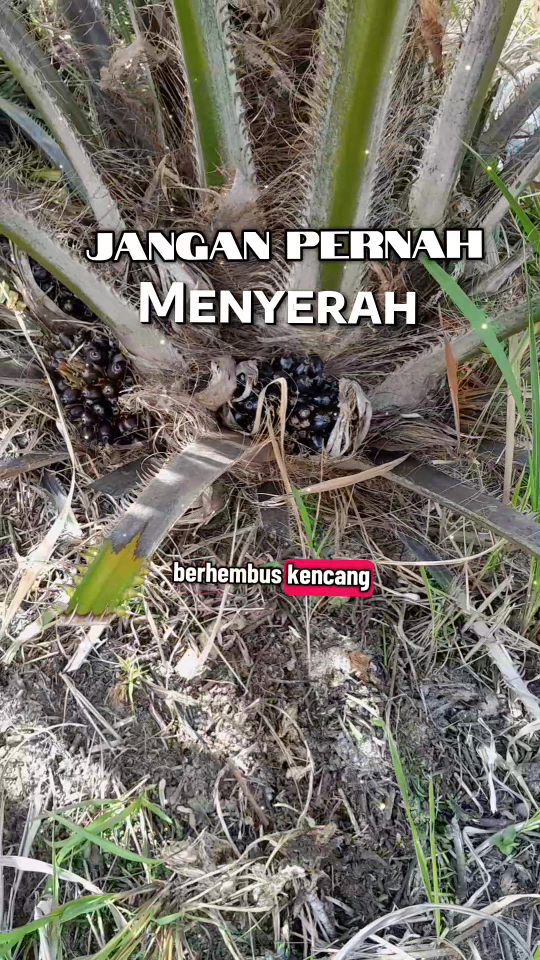 @kanjengmama99