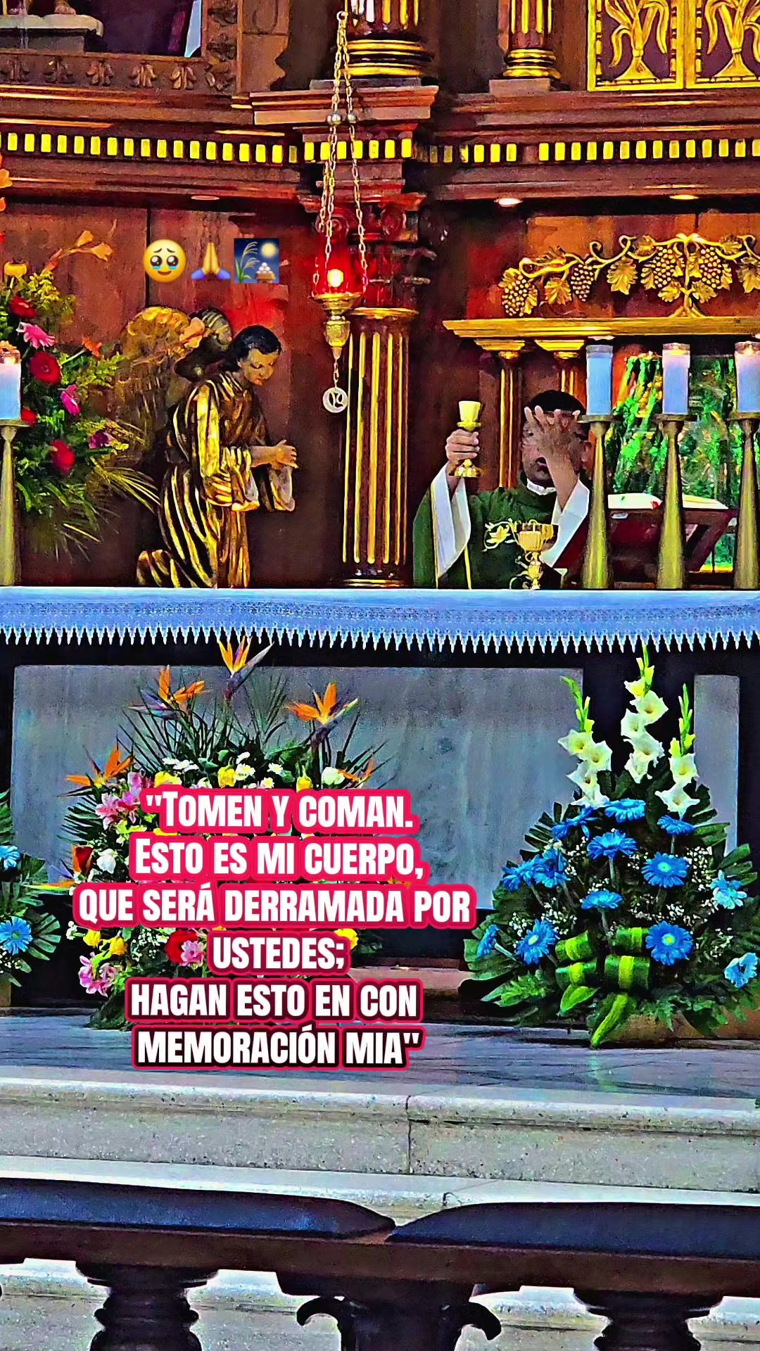 @Fr3dytho Golfó 🇬🇹