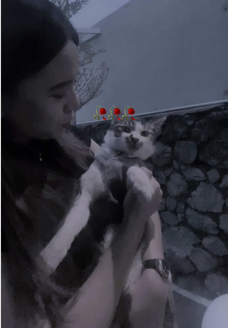@♋