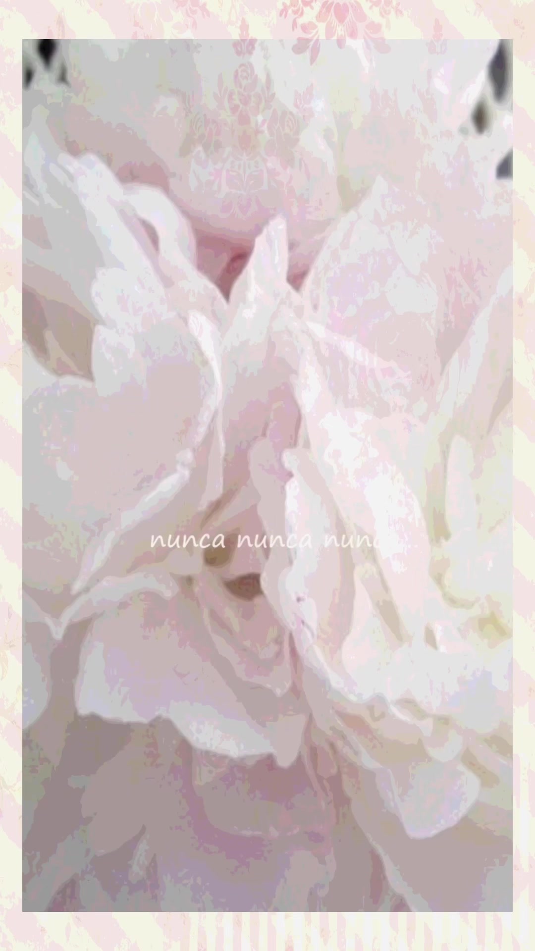 @❤︎ ċhu̲ . .