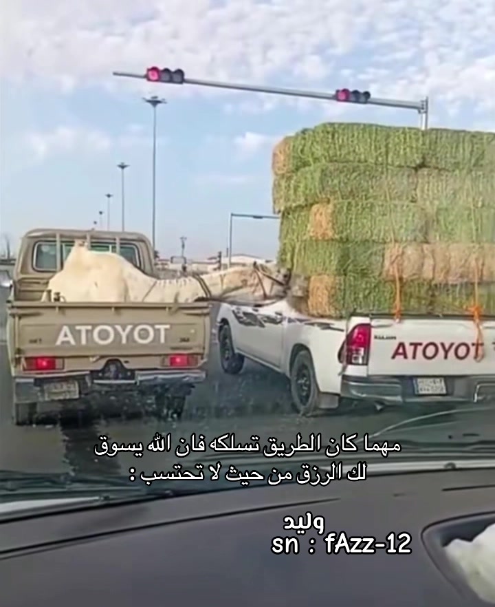 @ولييد .