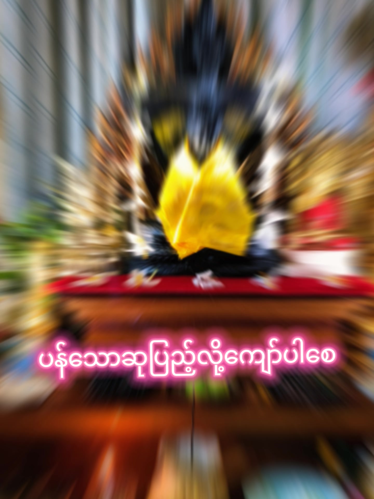 @Pan Su Pyae Kyaw_Actor&Singer