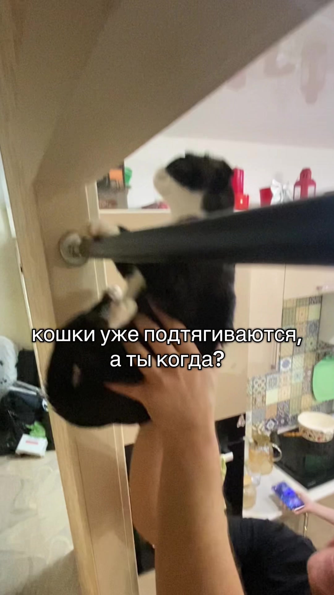 @alina.sasha
