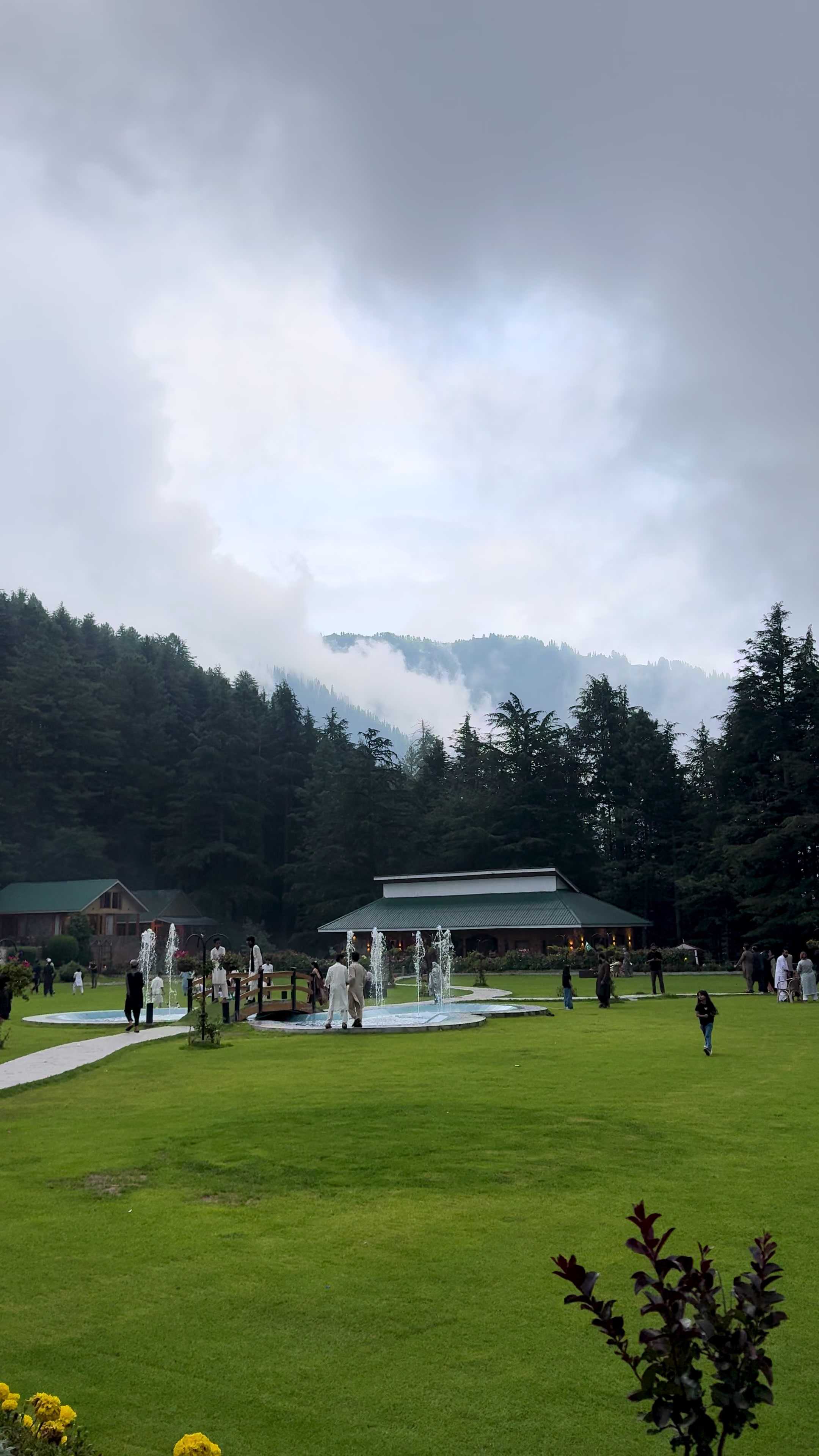 @Shogran Vibes