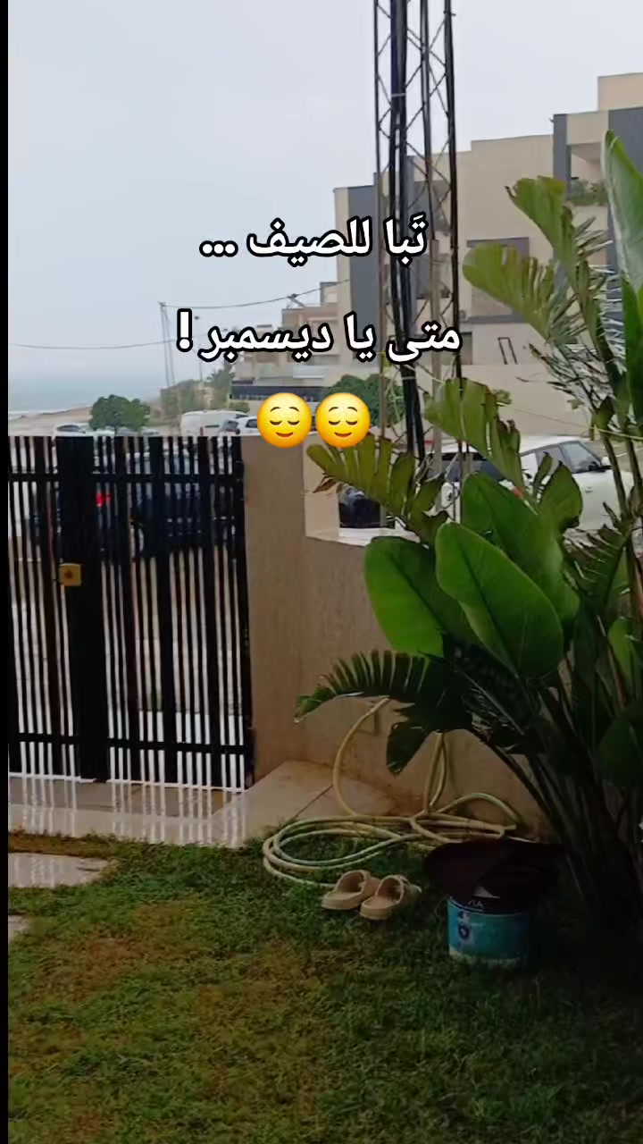 @🎀شيماء🎀