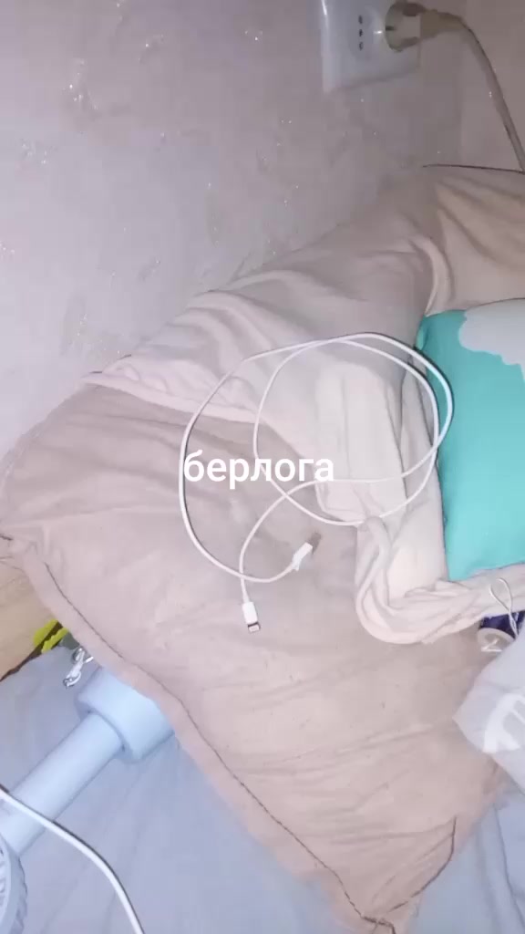 @кабан кузя